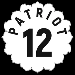 Патриот 12